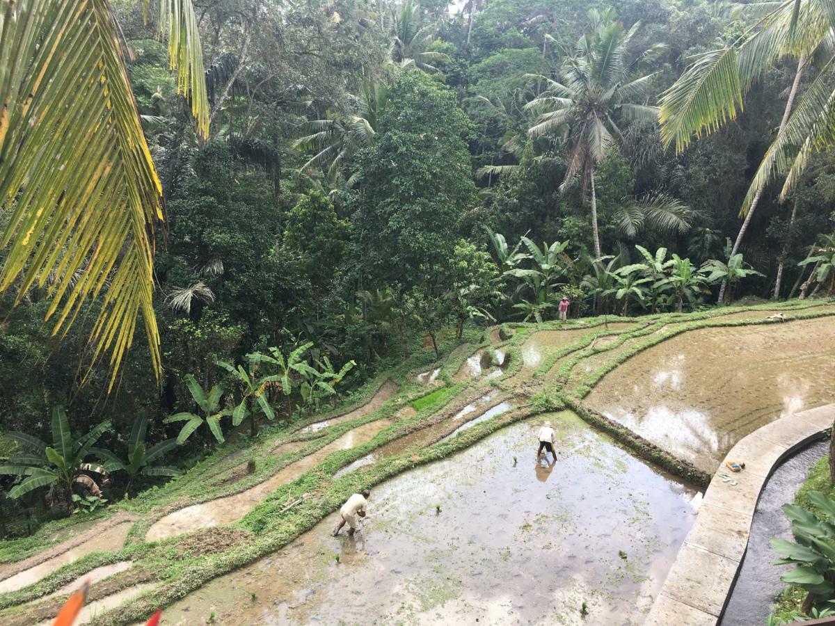 Puri Raya Villa Ubud  Exterior photo