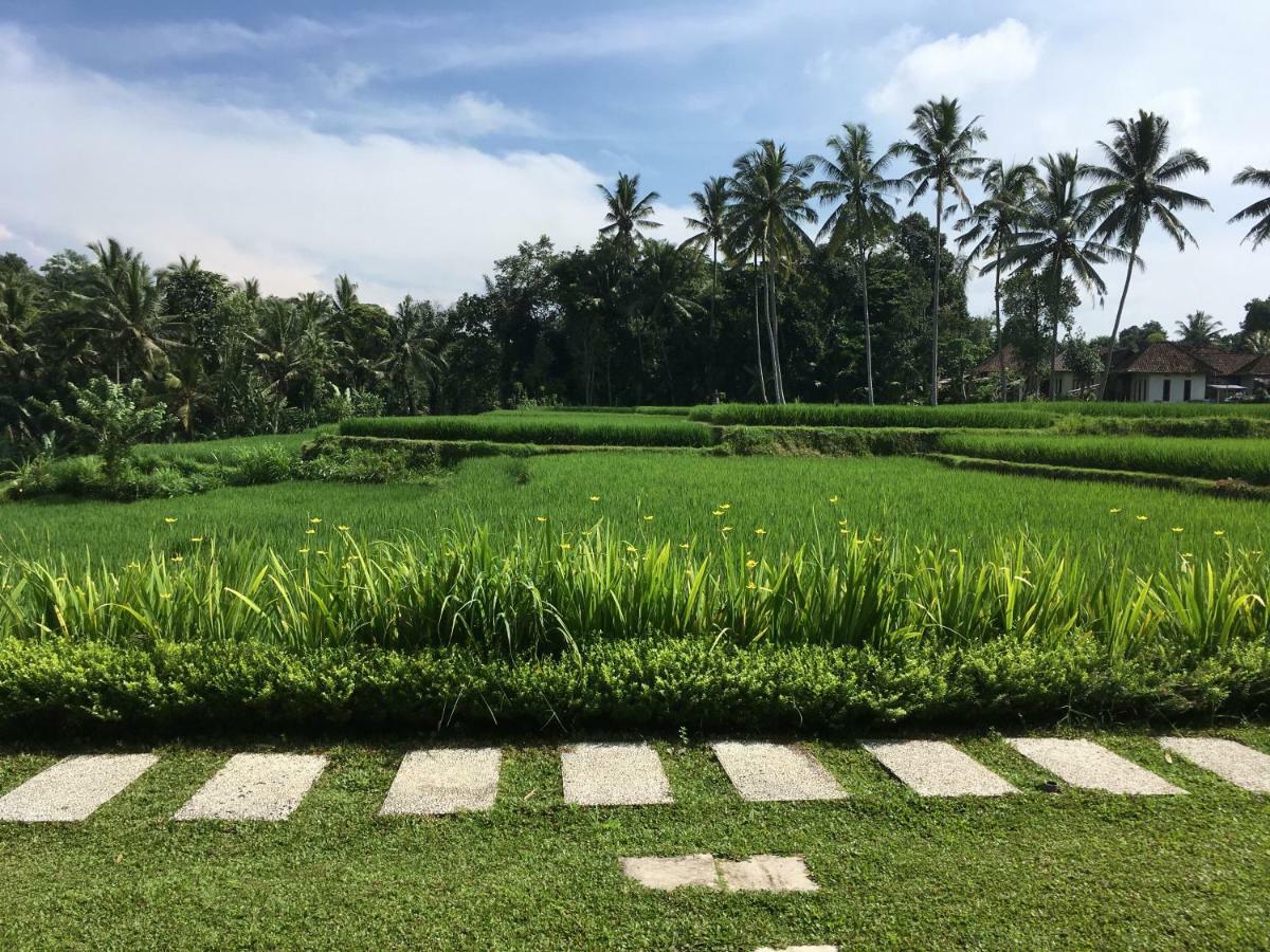 Puri Raya Villa Ubud  Exterior photo