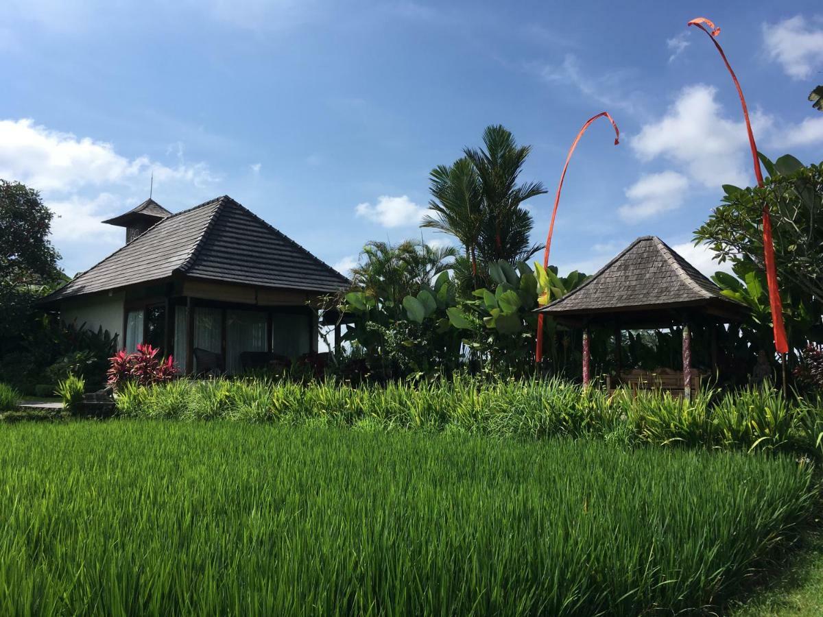 Puri Raya Villa Ubud  Exterior photo