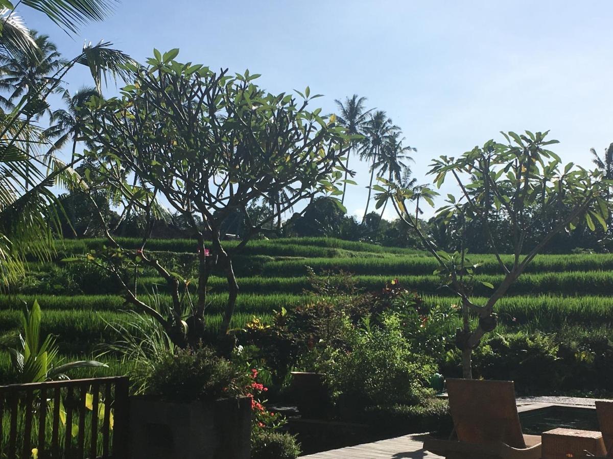 Puri Raya Villa Ubud  Exterior photo