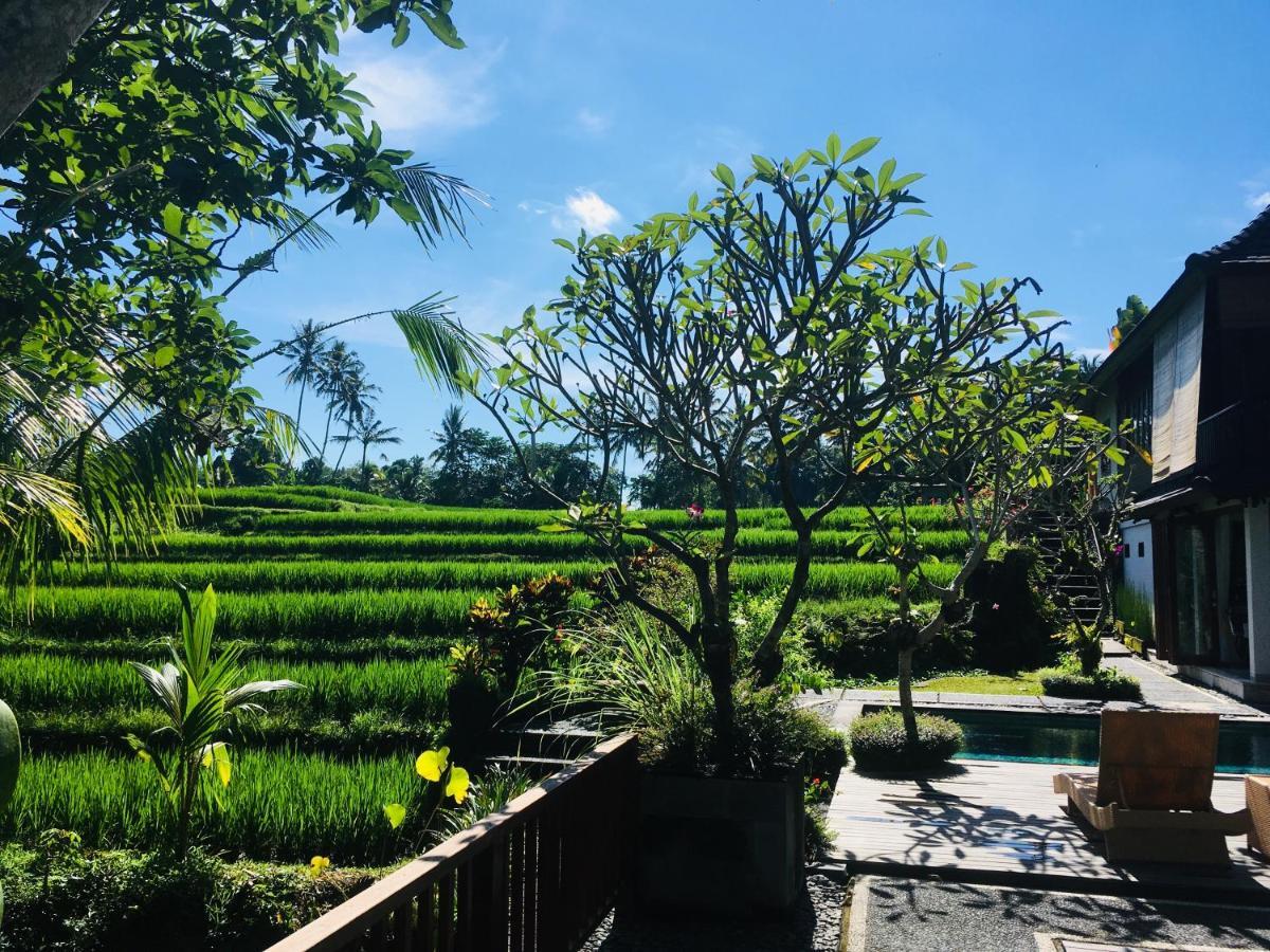 Puri Raya Villa Ubud  Exterior photo