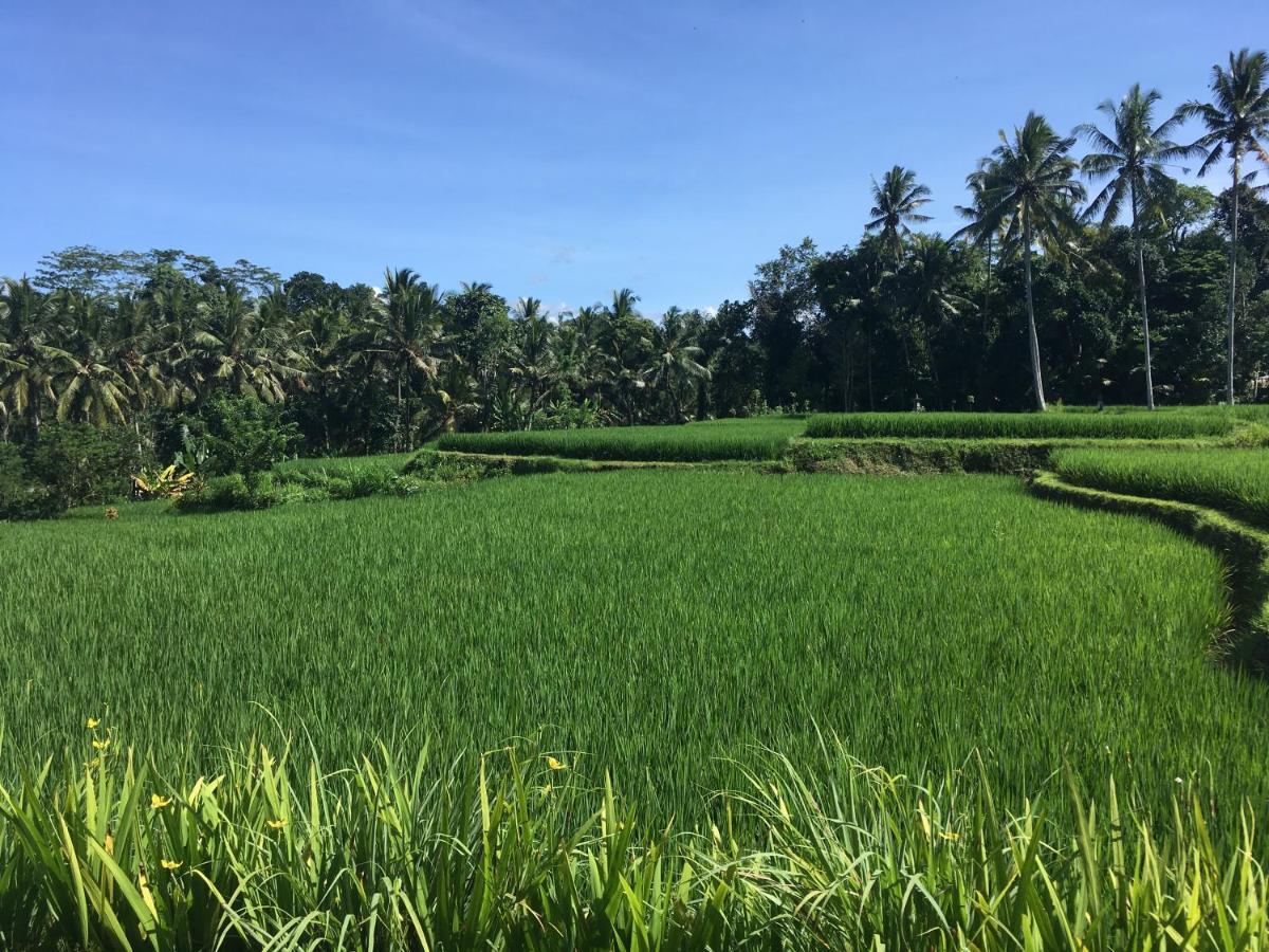 Puri Raya Villa Ubud  Exterior photo